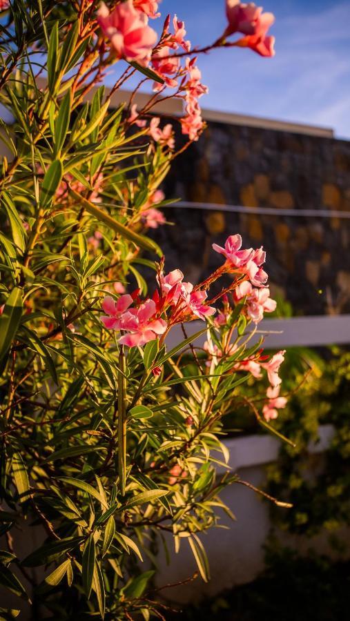 Villa Simone: Sunlit Beach Getaway W/ Pool + Wifi Belle Mare Exterior photo
